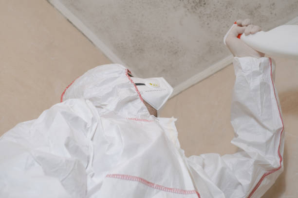 Best Mold Removal Process  in Chambersburg, PA